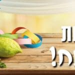 באנר טירת כרמל