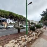 haipo news of haifa carmel 161022 (13)