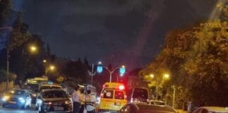 תאונה קטלנית בחיפה – נהרג הולך רגל בן 84 • חשד ל'פגע וברח' (צילום: מד"א)