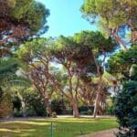 שטח הגן הנרחב חופף ברובו ל"פארק הקייזר" אשר נשתל אי אז בעבר הרחוק על ידי הטמפלרים -המקום אשר בו פעילות מוסיקלית מרוממת נפש (צילום: רחלי אורבך)