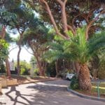 מתוך הרחוב הסואן ודרך שביל נסתר נגלה בניין מרשים "בית רוטנברג"  -המקום אשר בו פעילות מוסיקלית מרוממת נפש (צילום: רחלי אורבך)