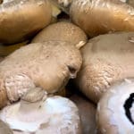 פטריות (צילום: ירון כרמי)