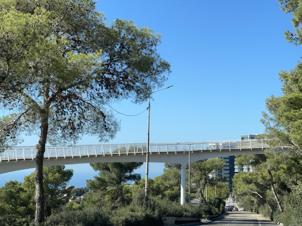 גשר הולכי הרגל הסגור - אוניברסיטת חיפה (צילום: ירון כרמי)