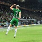 haipo news of haifa football 3 141122