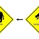 שלטים של חזירי בר בחיפה (איור: חנן מרקוביץ)