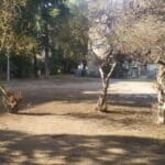 מרחב ציבורי הנמצא בין בנייני רכבת ברחוב שרל לוץ בשכונת בת גלים בחיפה (צילום: יריב שגיא)