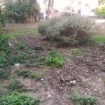מרחב ציבורי הנמצא בין בנייני רכבת ברחוב שרל לוץ בשכונת בת גלים בחיפה (צילום: יריב שגיא)