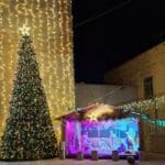 מיצג הולדת ישוע בבית לחם ועץ חג המולד-כנסיית יוחנן הקדוש בערב קונצרט אלכרמל בניצוח אלבר בלאן (צילום: רחלי אורבך)