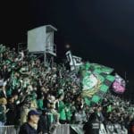 haipo news of haifa football 4 131222