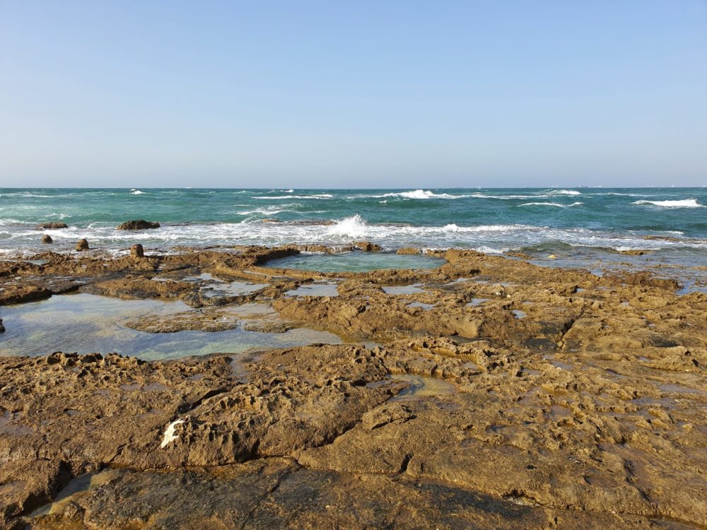 חוף שקמונה (צילום: חנן מרקוביץ)