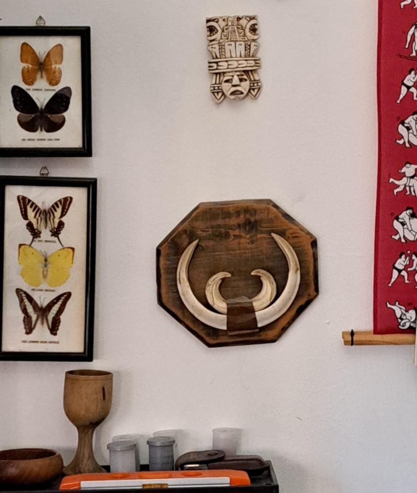 פרפרים ותשורת שיני החזיר- בבית ובסטודיו של אמן ההדפס ליאב שופן. (צילום: רחלי אורבך)
