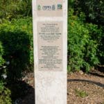 haipo newas of haifa nature 10123 (9)