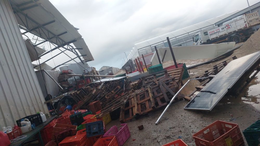 הרס בשל סופת ברברה, צרופה, קרדיט: מועצה אזורית חוף כרמל