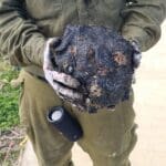 חיילים בחופי חיפה מנקים זפת (חי פה בשטח)
