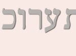 באנר מוזאוני חיפה