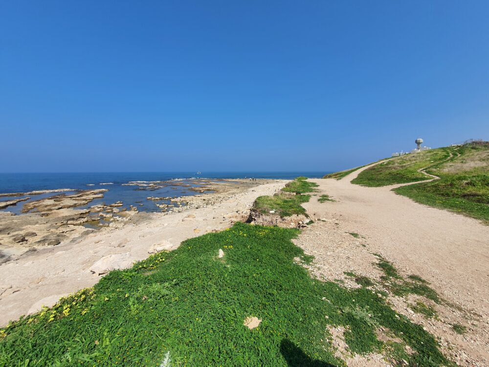 חוף שקמונה (צילום: חנן מרקוביץ)