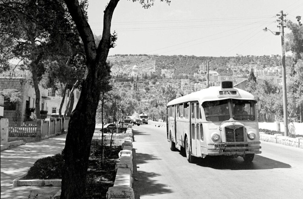 שדרות בן גוריון-חיפה בשנות ה 50 (צילום ארכיון "העמותה לתולדות חיפה")