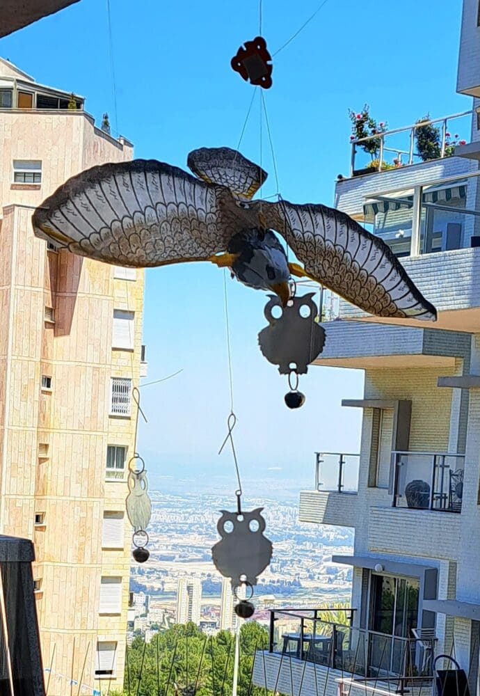 נוף חיפאי בין הבתים- בבית ניצה וויט יו"ר "חוג החברות של ניצה" (צילום: רחלי אורבך)