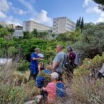 haipo news of haifa city nature 250523 (2)