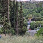 haipo news of haifa city nature 250523 (3)