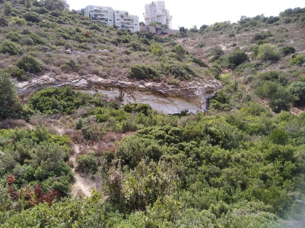 ואדיות בחיפה (צילום: ענבל חן ברגב)