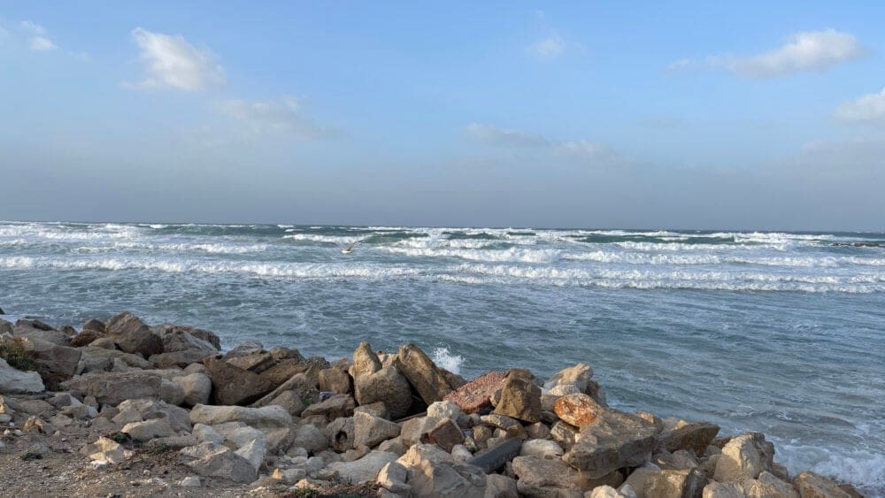 חוף מרידיאן – חיפה – ים סוער – סערת חורף (צילום: ירון כרמי)
