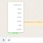 עריכת הודעה שנמסרה בוואטסאפ (צילום מסך – ירון כרמי)