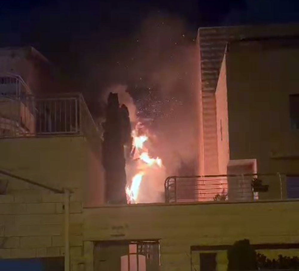 שרפה שפרצה בין הבתים בשכונת רמת אשכול בחיפה (צילום: כבאות והצלה)