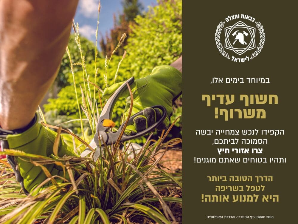 חישוף צמחיה יבשה סביב בתים – הודעת כבאות והצלה