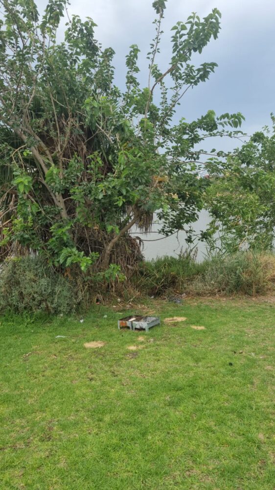 מנגלים זרוקים בפינת הדשא - הזנחה ולכלוך בפארק הקישון בחיפה (צילום: גיא הולצמן)