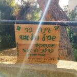 haipo news of haifa ehud vally 290623 (2)