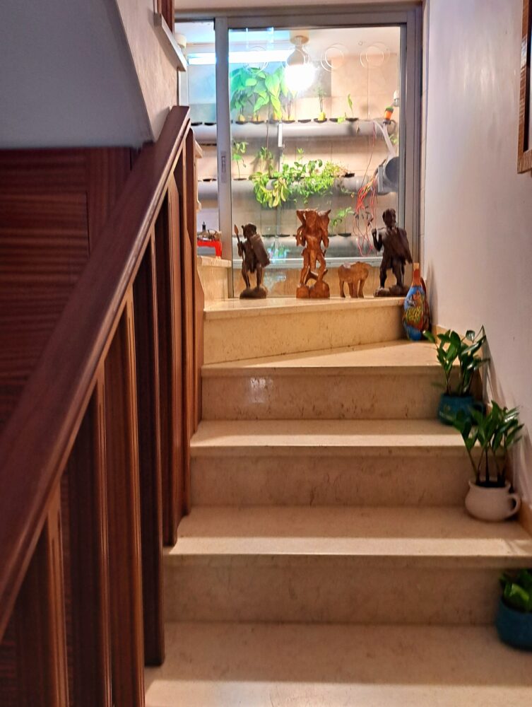 מעלה גרם המדרגות- בבית עו"ס יפעת מזרחי (צילום: רחלי אורבך)