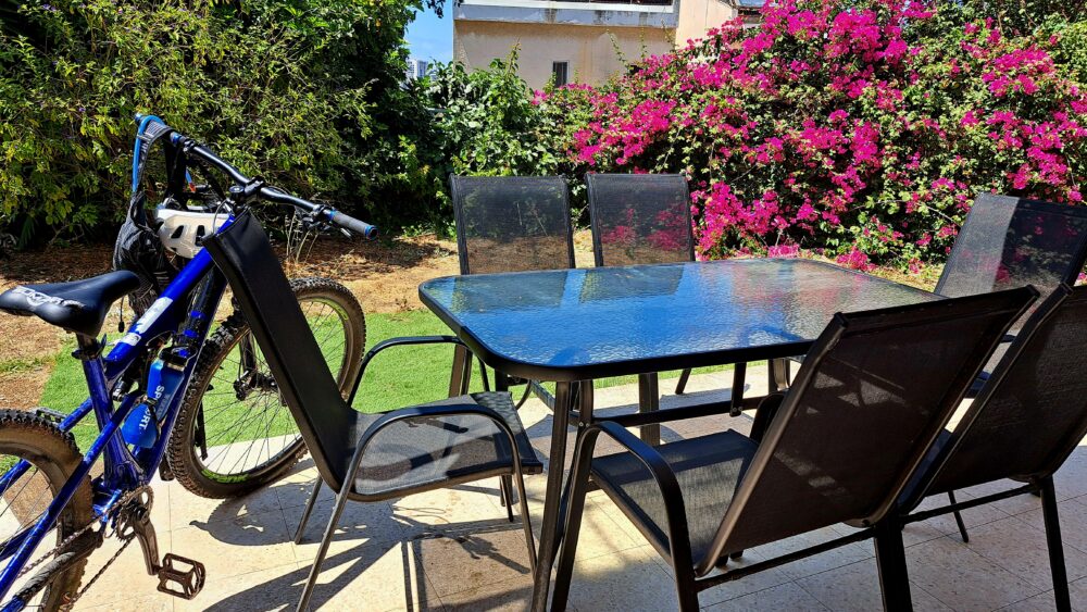 שולחן + אופניים + פריחת הבוגנוויליה בגינה- בבית עו"ד יעל בן דוד (צילום: רחלי אורבך)
