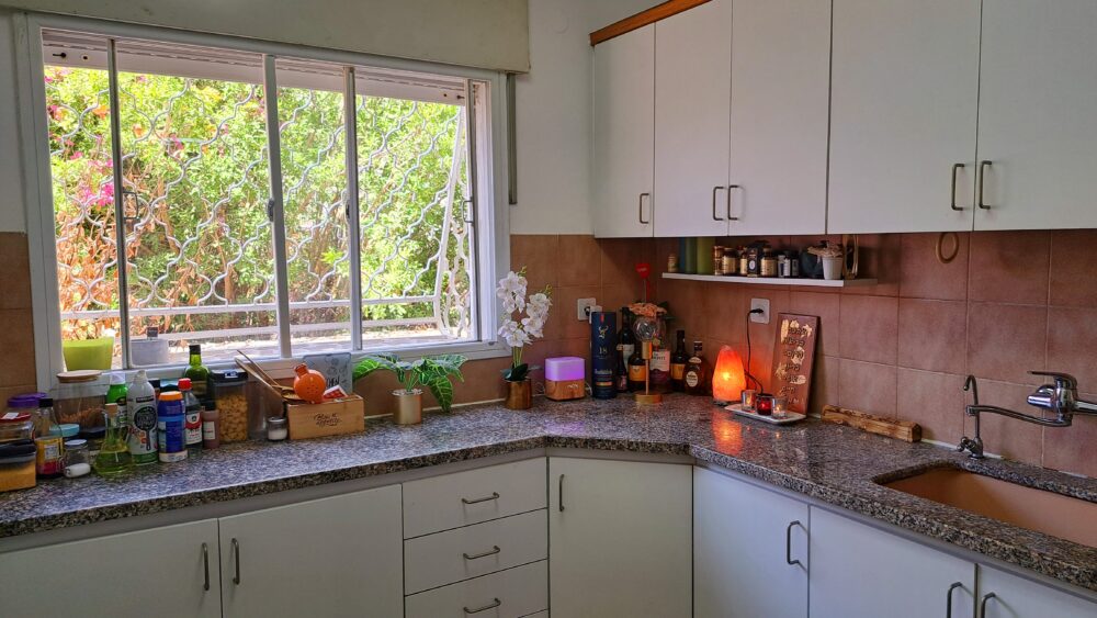 מבט אל ירוק החלון אשר במטבח- בבית עו"ד יעל בן דוד (צילום: רחלי אורבך)