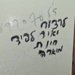 כתובת נאצה רוססה בשירותים בגן האם (צילום: חי פה בשטח)