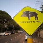 שלט – חזיר בר חיפאי בסביבה – רחוב יפה נוף – חיפה (צילום: ירון כרמי)