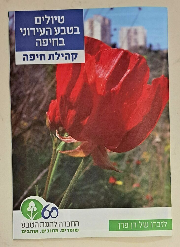 חוברת טיולים בטבע העירוני בחיפה-לזיכרו של רן פרן- בבית השפית החיפאית ורד פרן (צילום: רחלי אורבך)