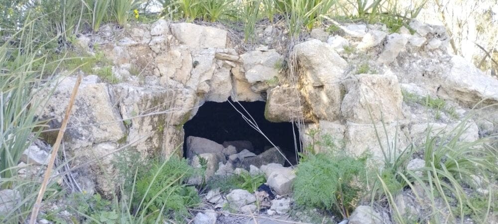 IMG_20230222_141555