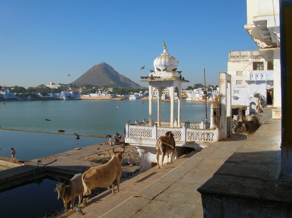 אגם עם מים קדושים בפושקר הודו (צילום: תמי גולדשטיין)