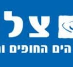 צלול