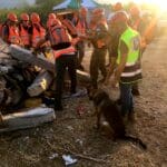 בעקבות רעידת האדמה במרוקו: יכ"ל מגבירה הילוך בהכשרת כלבים לאיתור נעדרים תחת הריסות (צילום: דוברות יחידת הכלבים לישראל)