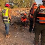 בעקבות רעידת האדמה במרוקו: יכ"ל מגבירה הילוך בהכשרת כלבים לאיתור נעדרים תחת הריסות (צילום: דוברות יחידת הכלבים לישראל)