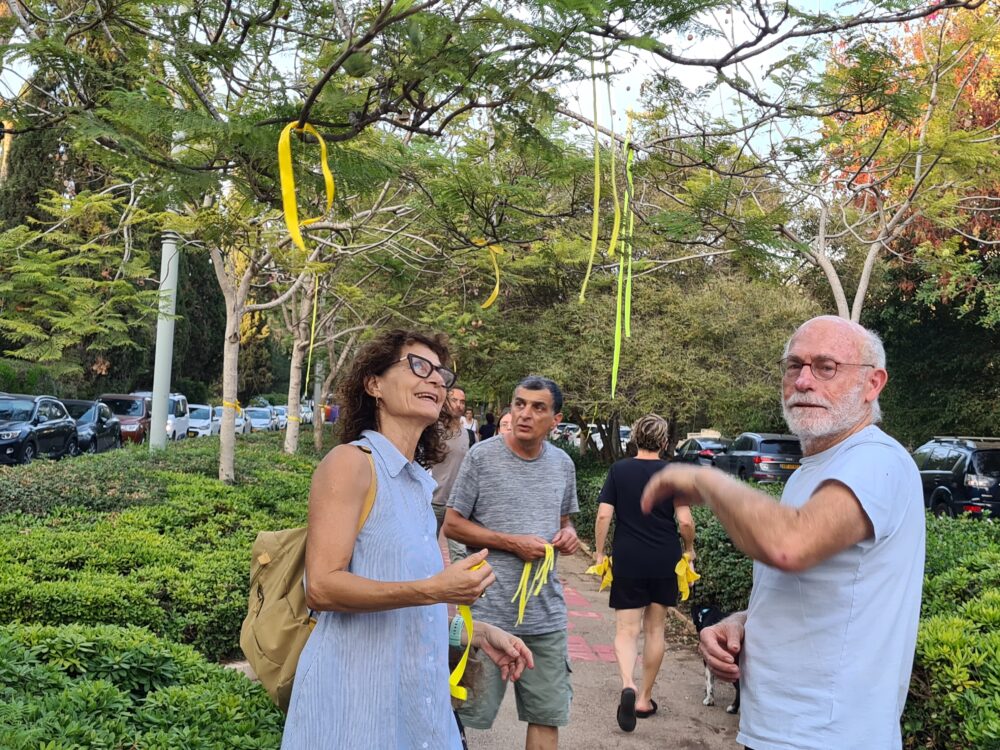 קושרים סרטים צהובים סביב עצים בחיפה כסמל להחזרת החטופים (צילום: יעל הורוביץ)