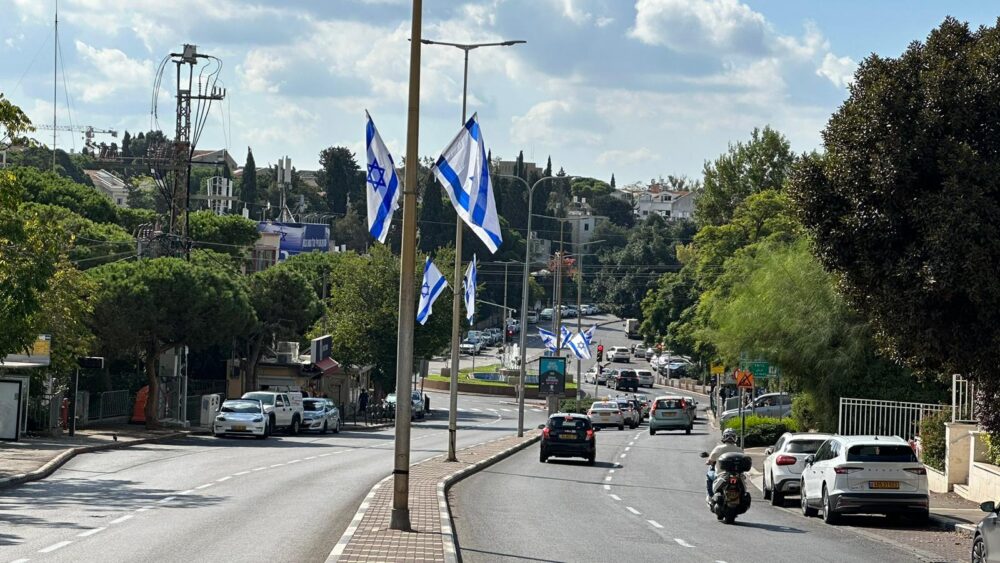 1000 דגלי ישראל נתלו בחיפה (צילום: דוברות עיריית חיפה)