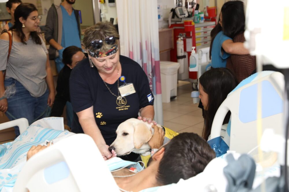 כלבי השירות מבקרים את הפצועים ברמב"ם (צילום: הקריה הרפואית רמב"ם)