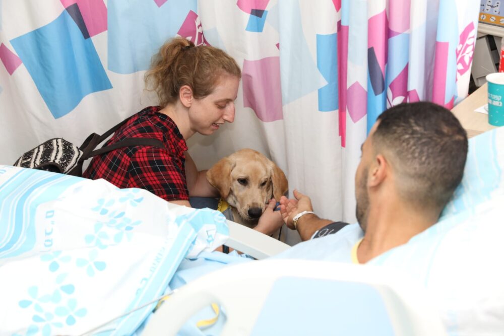 כלבי השירות מבקרים את הפצועים ברמב"ם (צילום: הקריה הרפואית רמב"ם)
