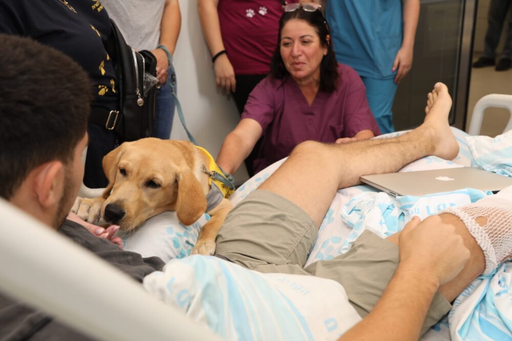 כלבי השירות מבקרים את הפצועים ברמב