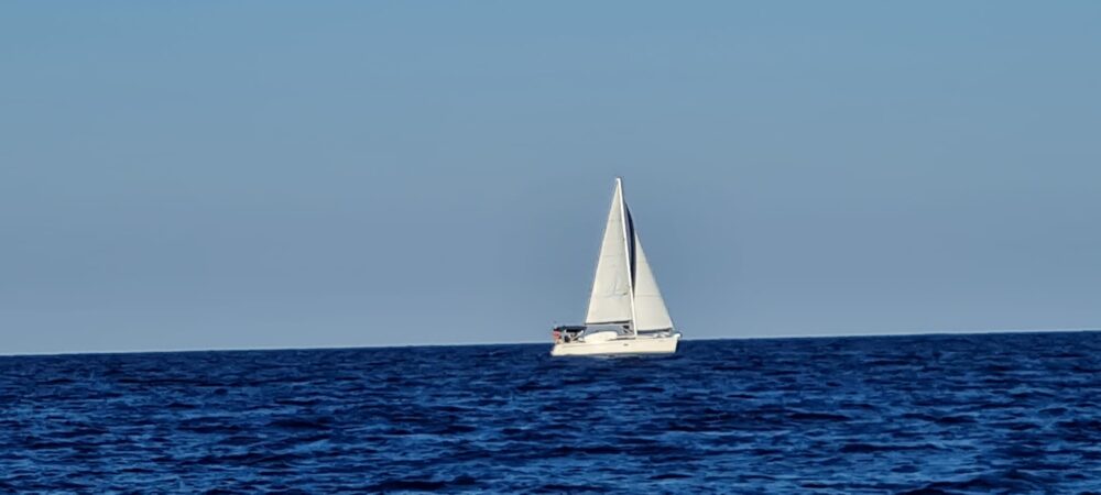 מפרש לבן באופק קרוב (צילום: לילי מילת)