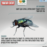 צילום מסך 2023-10-29 ב-12.45.35