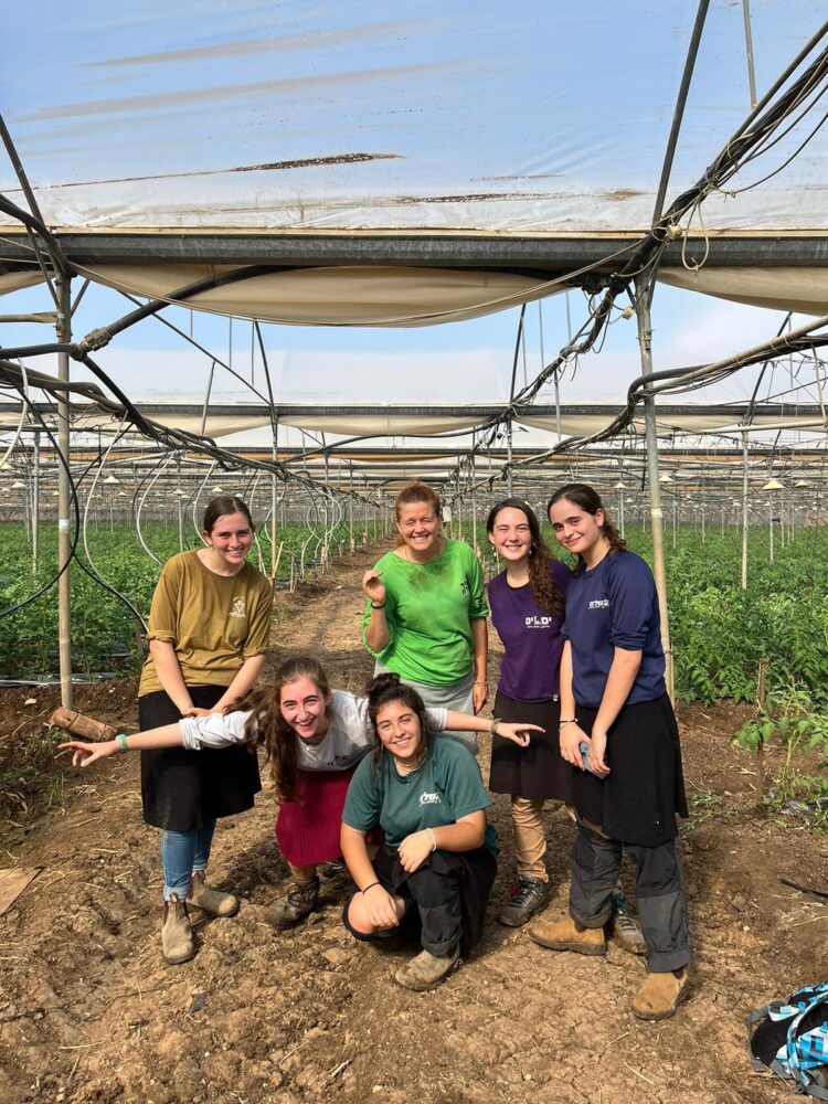 התלמידות בחיפה מתגייסות לעזור לחקלאים (צילום: אולפנת אמית חיפה)